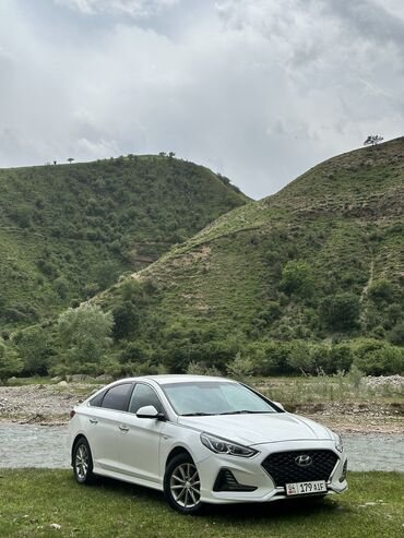 решётка стрим: Hyundai Sonata: 2018 г., 2 л, Автомат, Газ, Седан