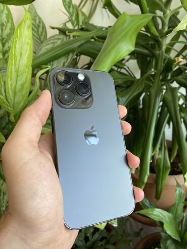 ıphone 14 pro: IPhone 14 Pro, 256 ГБ, Matte Silver, Face ID