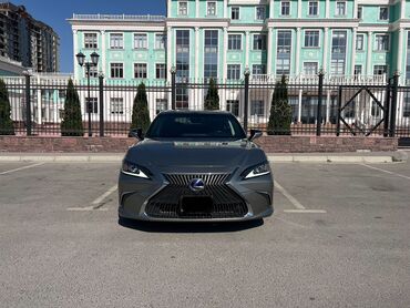 Lexus: Авто