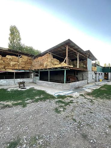 Продажа коттеджей и домов: ПРОДАЁТСЯ 2 ДОМА В ГОРОДЕ КАРА БАЛТА ПО УЛИЦЕ ЭРКИН АЛЫБАЕВА И — 13