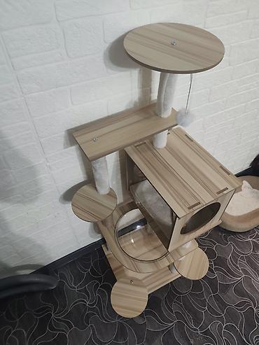 игру: ПРОДАЮ НОВЫЙ Игровой комплекс для кошек с домиком и прозрачной — 2
