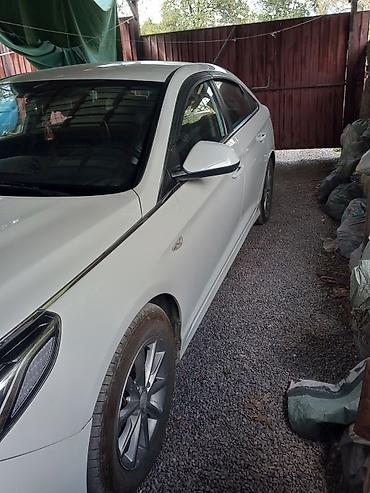 срв белый: Hyundai Sonata: 2018 г., 2 л, Автомат, Бензин, Седан — 3