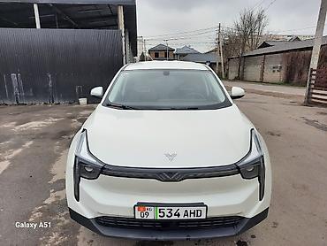 JMEV: JMEV : 2022 г., Электромобиль, Кроссовер — 6