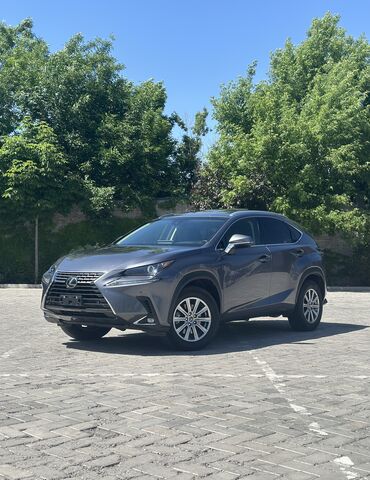 Lexus: Lexus NX: 2018 г., 2 л, Автомат, Бензин, Кроссовер