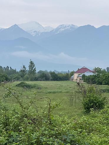 Torpaq sahələrinin satışı: 87 sot, Tikinti, Mülkiyyətçi, Kupça (Çıxarış) — 6