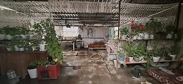 hous kg: Продаётся жилой дом в городе Каракол (пристань) есть хоз постройки — 5