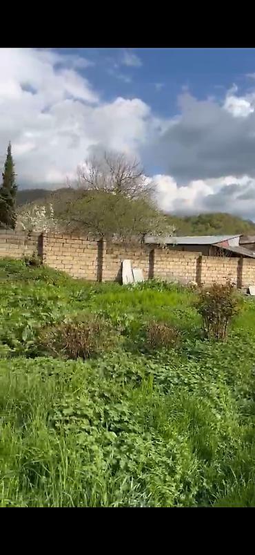baksol yolu dernegul: 10 sot, Mülkiyyətçi, Kupça (Çıxarış) — 10