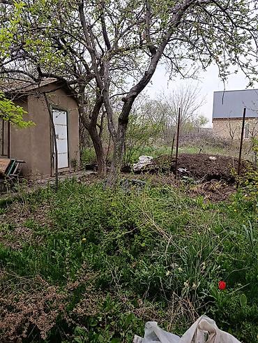 Продажа дач: Дача/два садовых участока с домом " Текстильщик" - Дом из кирпича с — 11