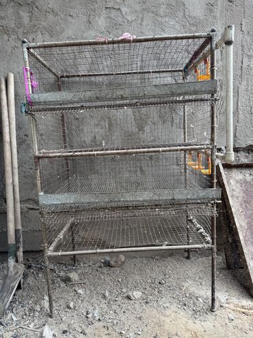 Товары и оборудование для с/х животных: Продается клетка для перепел — 3