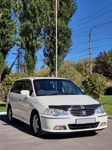 honda odyssey продаю: Honda Odyssey: 2000 г., 3 л, Автомат, Бензин, Вэн/Минивэн