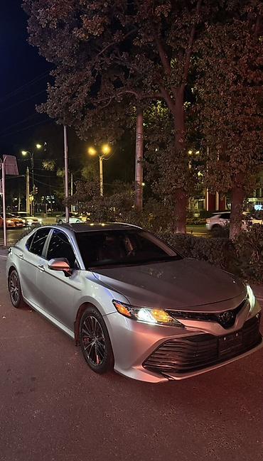 чехлы велюр: Toyota Camry: 2018 г., 2.5 л, Автомат, Бензин, Седан — 1