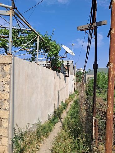 taxda ev: Sumqayıt şəhərində düz Bağça şəhərin arxasında təcili olarağ — 5