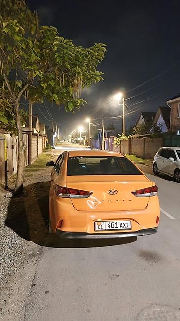 sonata nurais: Hyundai Sonata: 2019 г., 2 л, Автомат, Газ, Седан — 4
