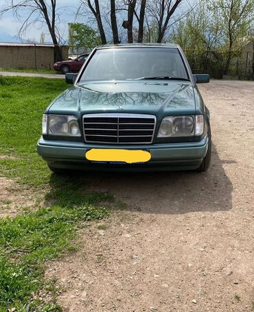 Mercedes-Benz 260: 1994 г., 2.6 л, Автомат, Бензин, Седан