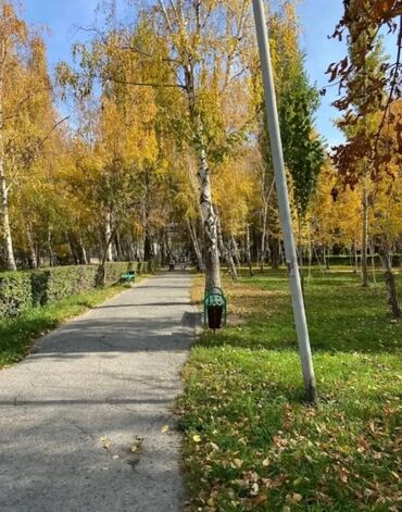104 серия квартиры: 2 бөлмө, 43 кв. м, 104-серия, 1 кабат, Евроремонт