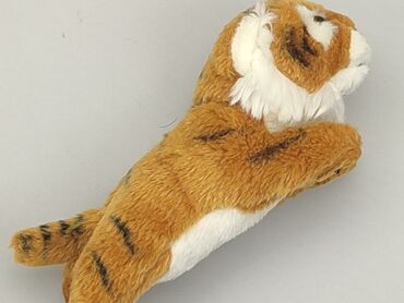 allegro kombinezony dziecięce: Mascot Tiger, condition - Very good