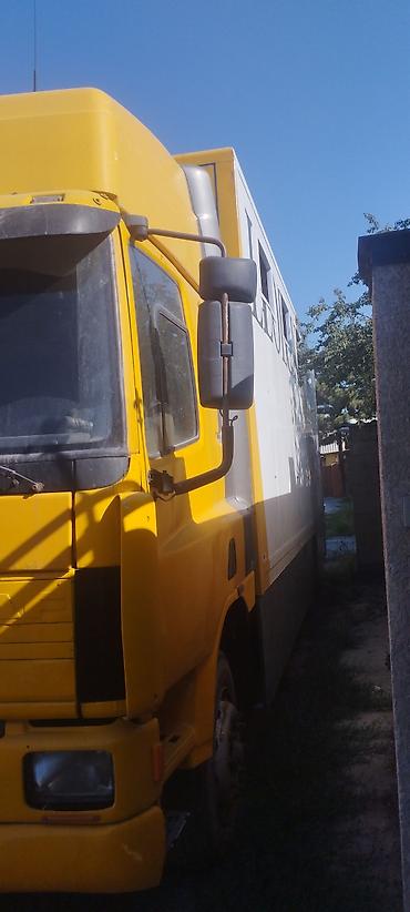 даф шасси: Грузовик-автофургон DAF 65 240 ATI конивозка на 11голов продаю или — 2
