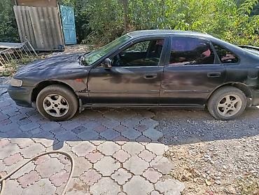 хонда аккорд 93 год: Honda Accord: 1997 г., 2 л, Механика, Бензин, Седан — 2