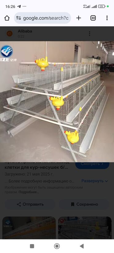 Товары и оборудование для с/х животных: Сетка для кур несушек 
есть 30 шт б у 1 шт 1000 сом
