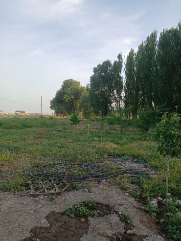 работа в бишкеке в ночную смену без опыта: Требуется семья для работы на кошаре если умеете водить трактор