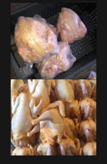 оптом фрукты овощи: Курица :, 2 кг, 3 кг, Бесплатная доставка