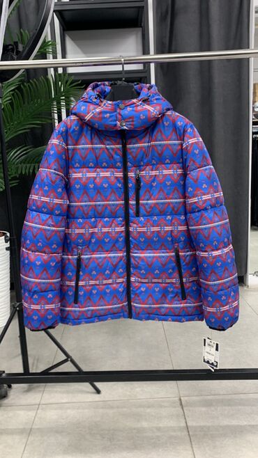 Куртки: Мужские зимние и демисезонные куртки/пуховики Варианты моделей на — 11