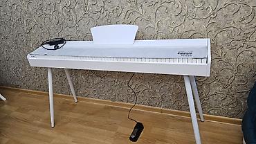 Musiqi alətləri: Piano, Rəqəmsal, İşlənmiş, Ünvandan götürmə — 4
