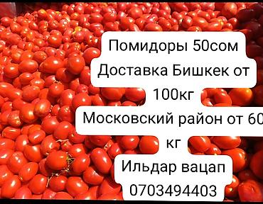 бу шкаф бишкек: Помидорлор Кызыл, Дүң — 1