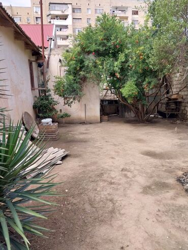 Torpaq sahələrinin satışı: 65 sot, Tikinti, Makler, Kupça (Çıxarış) — 2