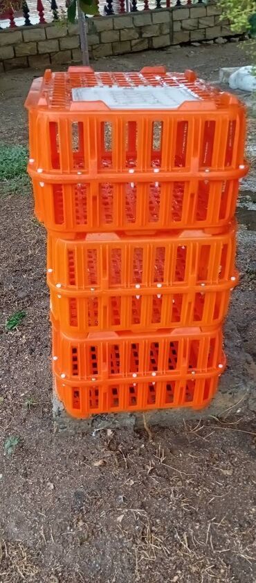 Akvarium aksessuar və ləvazimatları: Təcili satılır.6 ədədi 240manat — 5