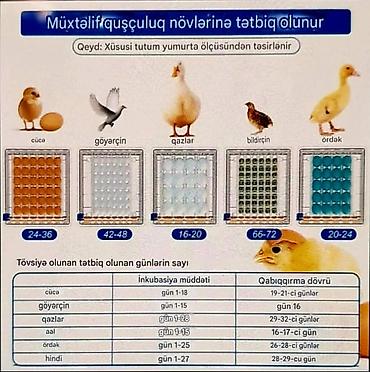 Зоотовары: Tam avtomatik inkubator / su və yem qabı daxil./Göy-1əd.yaşıl 1əd — 3