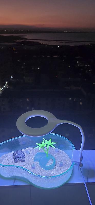 su quşu adları: Mini tısbağa üçün dekorativ akvaterrarium və LED masa lampası dəsti - — 2