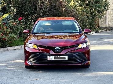 чанган бенбен е стар: Toyota Camry: 2020 г., 2.5 л, Автомат, Гибрид, Седан — 2