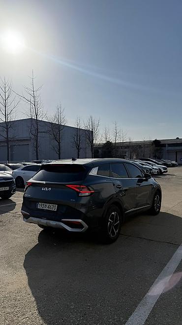 Kia: Kia Sportage: 2022 г., Кроссовер — 4