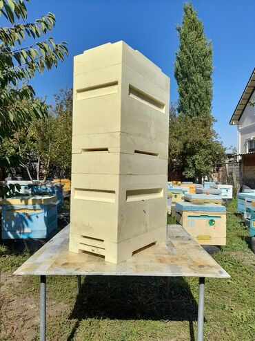 Мёд: Пенополиуретановые ульи (ППУ). 6,10 и 12ти рамочные ппу ульи — 2