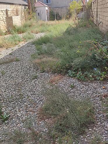 moyka obyekt satilir: Tikinti, Kupça (Çıxarış) — 9