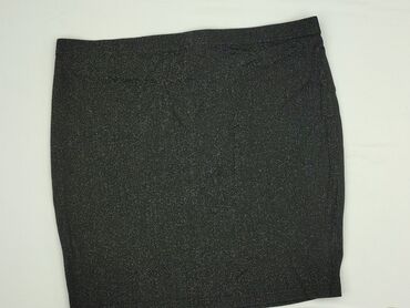 spódnice pin up lata 50: Shein Curve, Women`s skirt, size 2XL