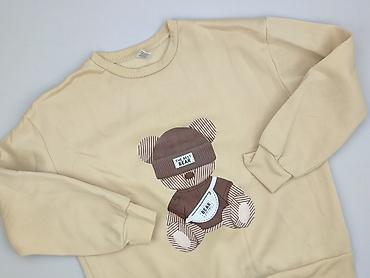 sweter z misiem stradivarius: Bear, Bluza damska
, rozmiar XL — 1