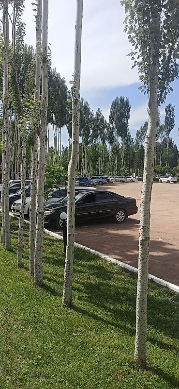 камри 40ка: Toyota Camry: 2004 г., 2.4 л, Автомат, Бензин — 1
