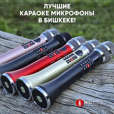 русская: Оригинальный караоке микрофон Micmagic L700 * *Мощность 20w — 6