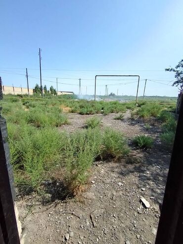 Torpaq sahələrinin satışı: 12 sot, Kupça (Çıxarış) — 8