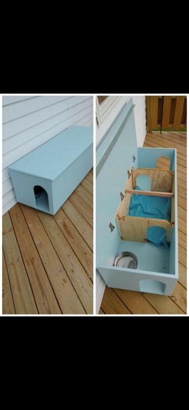 Yuvalar: Məhsul: Pişiklər üçün çoxfunksiyalı evlər və mebel - Daxili pişik — 10