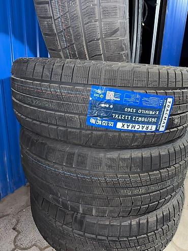осень весна: Зимние шины TRACMAX X-PRIVILO S360 - Размер: 265/50 R22 - Индекс — 3