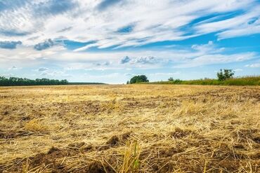 Torpaq sahələrinin satışı: 80 sot, Kənd təsərrüfatı, Makler, Kupça (Çıxarış), Müqavilə -da lalafo.az — 2 Torpaq sahələrinin satışı: 80 sot, Kənd təsərrüfatı, Makler, Kupça (Çıxarış), Müqavilə — 2