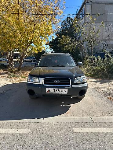 машина форестер: Subaru Forester: 2003 г., 2.5 л, Автомат, Бензин, Универсал — 2