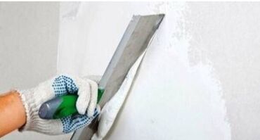 цветы для дома: Дубалдарды майшыбактоо 6 жылдан ашык тажрыйба
