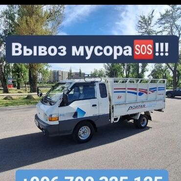 дикоративные кролики: ВывоВывоз Мусора Вывоз Мусора Вывоз з Мусора Вывоз Мусора Вывоз lalafo.kg да дикоративные кролики: ВывоВывоз Мусора Вывоз Мусора Вывоз з Мусора Вывоз Мусора Вывоз