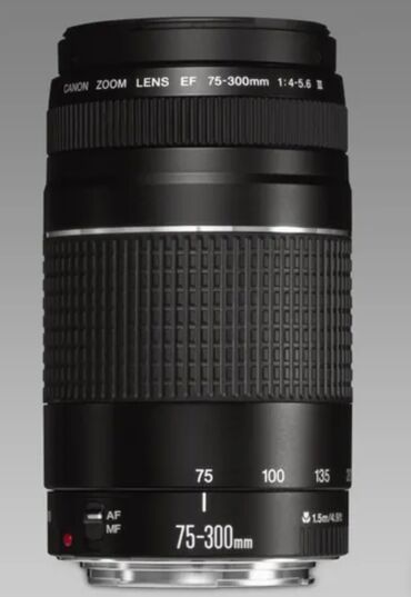 объектив канон: В продаже объектив canon 75-300 mm идеально подходит для сьемки