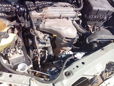 арзан машина сатылат: Toyota Camry: 2003 г., 2.4 л, Автомат, Бензин, Седан