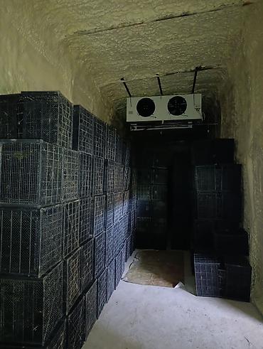 Промышленные холодильники и комплектующие: Промышленная холодильная и морозильная камера с оборудованием и — 4